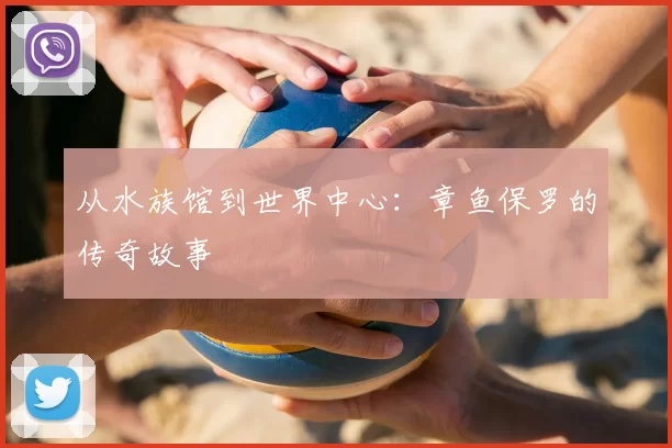 从水族馆到世界中心:章鱼保罗的传奇故事