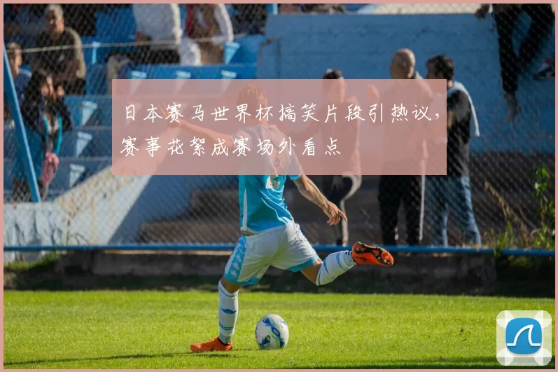 日本赛马世界杯搞笑片段引热议,赛事花絮成赛场外看点