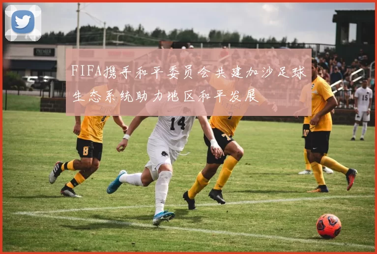 FIFA携手和平委员会共建加沙足球生态系统助力地区和平发展