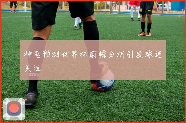 神龟预测世界杯前瞻分析引发球迷关注