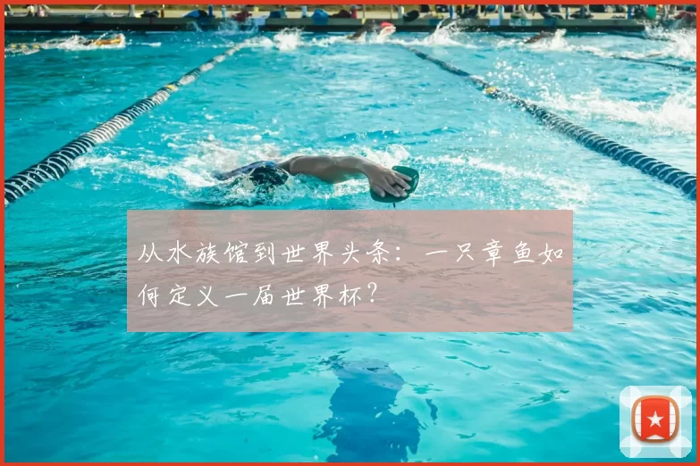 从水族馆到世界头条:一只章鱼如何定义一届世界杯?