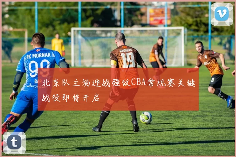 北京队主场迎战强敌CBA常规赛关键战役即将开启