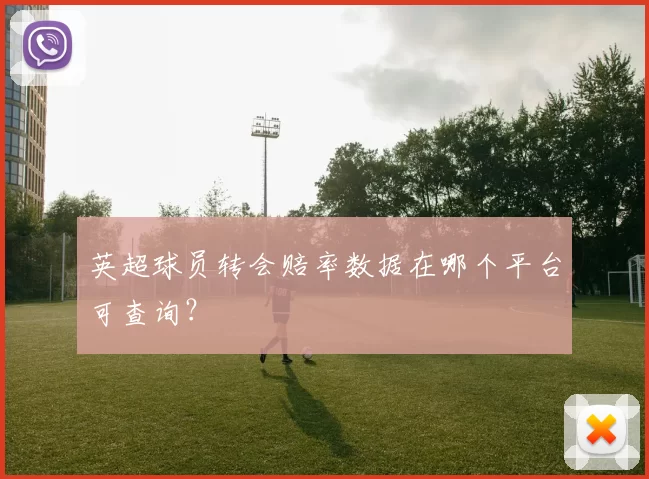 英超球员转会赔率数据在哪个平台可查询？