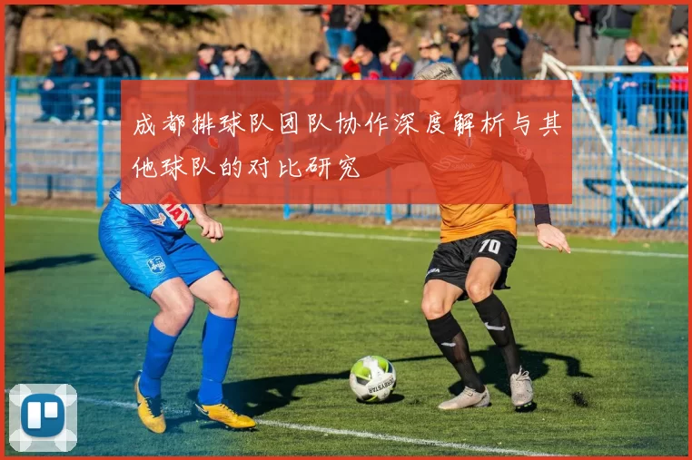 成都排球队团队协作深度解析与其他球队的对比研究