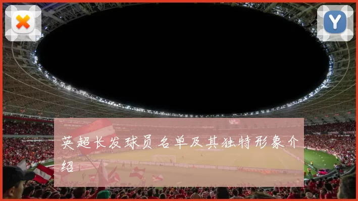 英超长发球员名单及其独特形象介绍