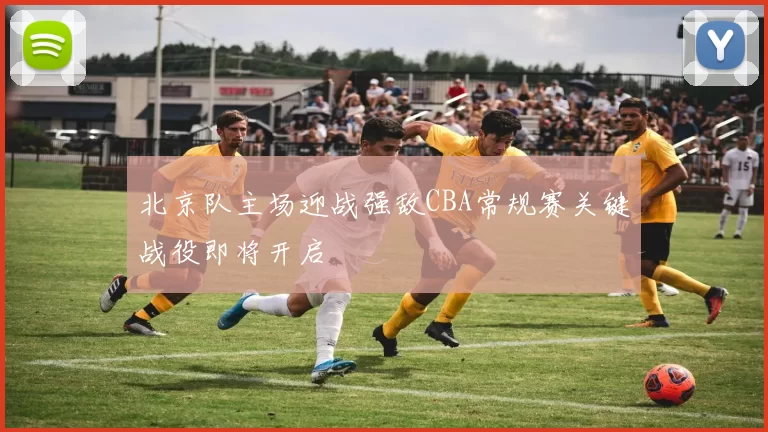 北京队主场迎战强敌CBA常规赛关键战役即将开启