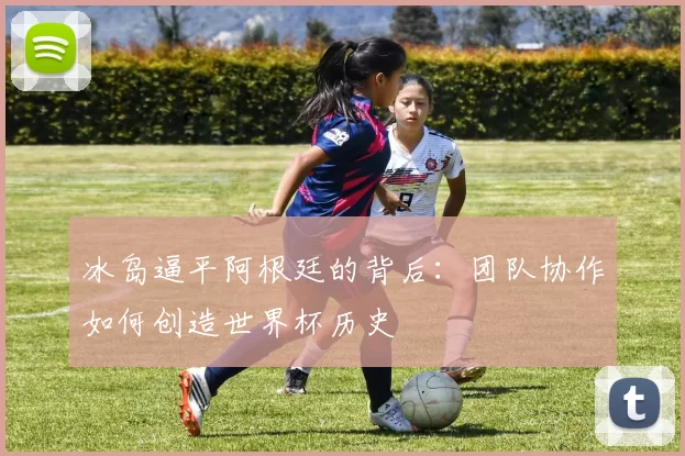 冰岛逼平阿根廷的背后：团队协作如何创造世界杯历史