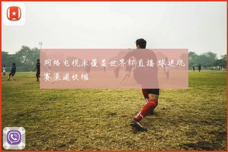 网络电视未覆盖世界杯直播 球迷观赛渠道收缩