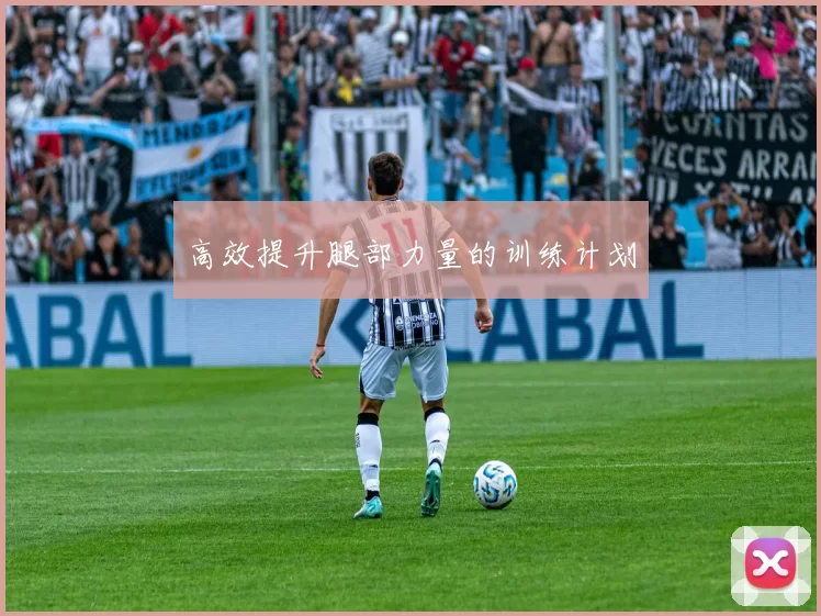 高效提升腿部力量的训练计划