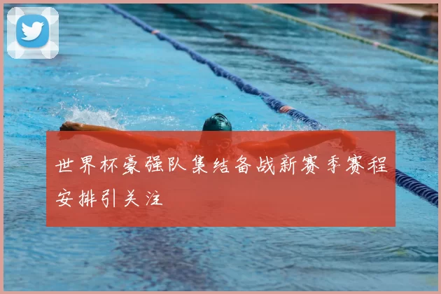 世界杯豪强队集结备战新赛季赛程安排引关注