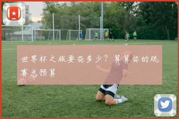 世界杯之旅要花多少?算算你的观赛总预算