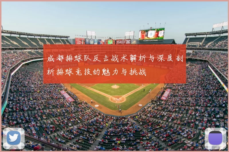 成都排球队反击战术解析与深度剖析排球竞技的魅力与挑战