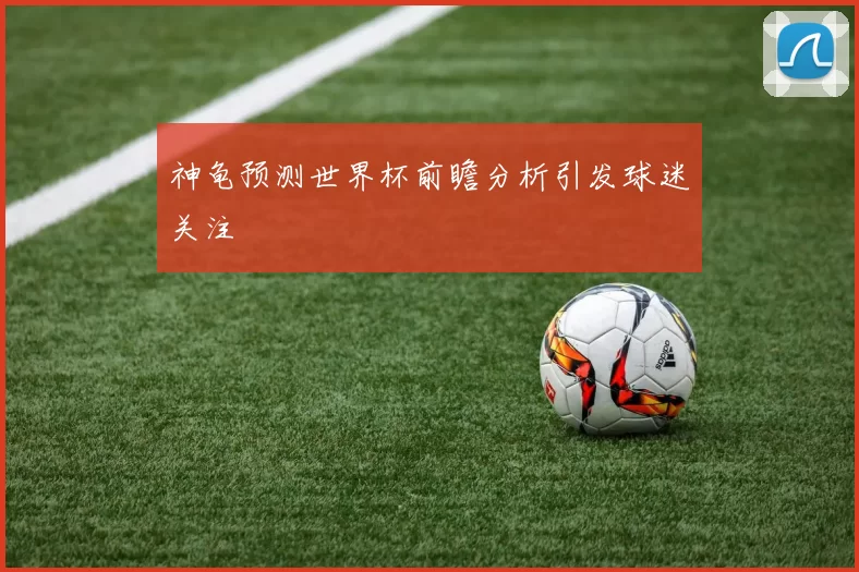 神龟预测世界杯前瞻分析引发球迷关注