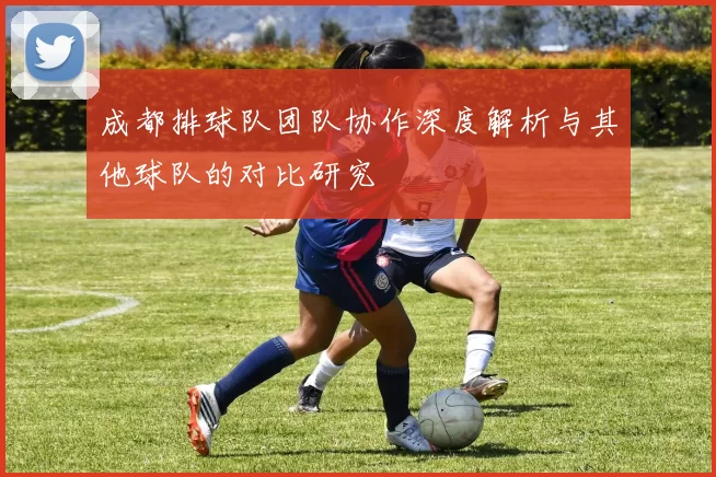成都排球队团队协作深度解析与其他球队的对比研究