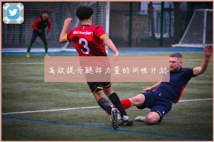 高效提升腿部力量的训练计划