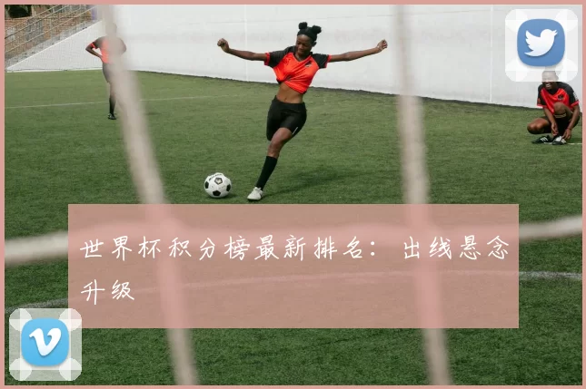 世界杯积分榜最新排名:出线悬念升级