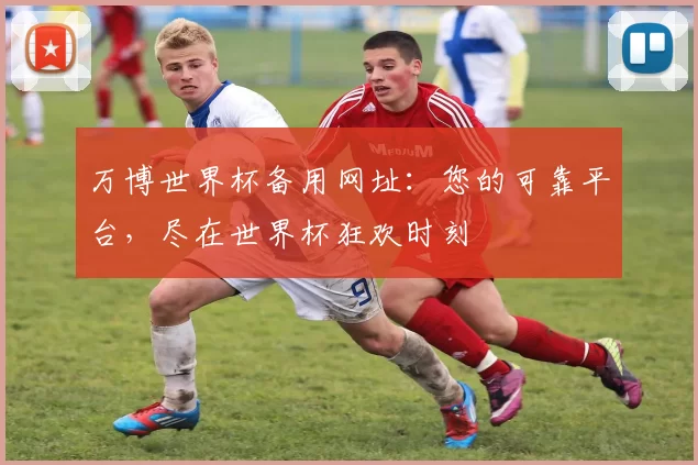 万博世界杯备用网址:您的可靠平台,尽在世界杯狂欢时刻