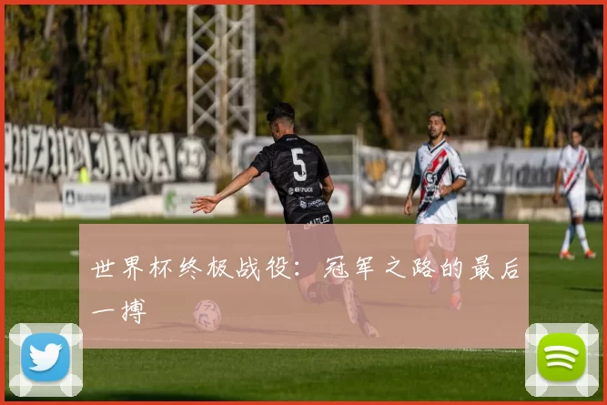 世界杯终极战役：冠军之路的最后一搏