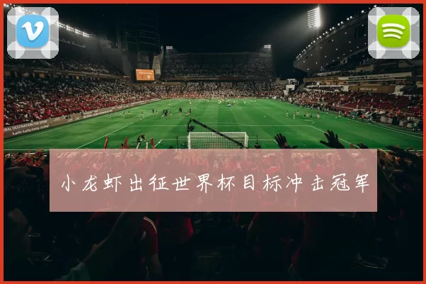 小龙虾出征世界杯目标冲击冠军