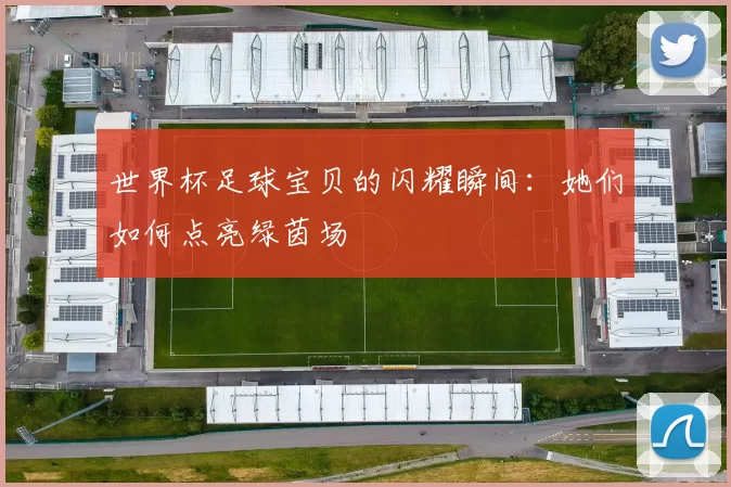 世界杯足球宝贝的闪耀瞬间：她们如何点亮绿茵场