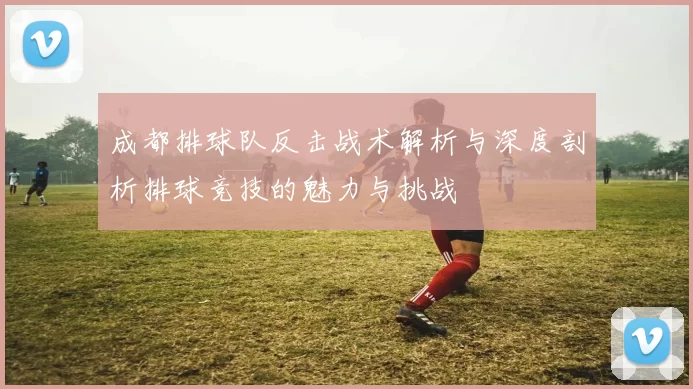 成都排球队反击战术解析与深度剖析排球竞技的魅力与挑战