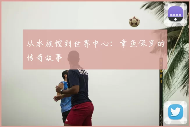 从水族馆到世界中心:章鱼保罗的传奇故事