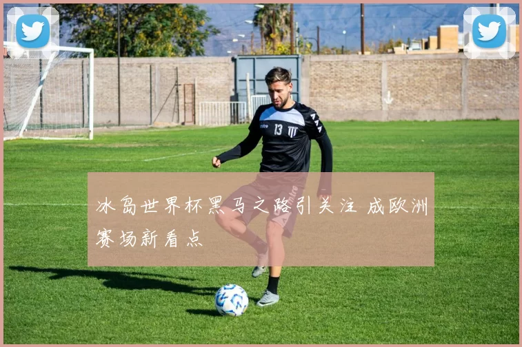 冰岛世界杯黑马之路引关注 成欧洲赛场新看点