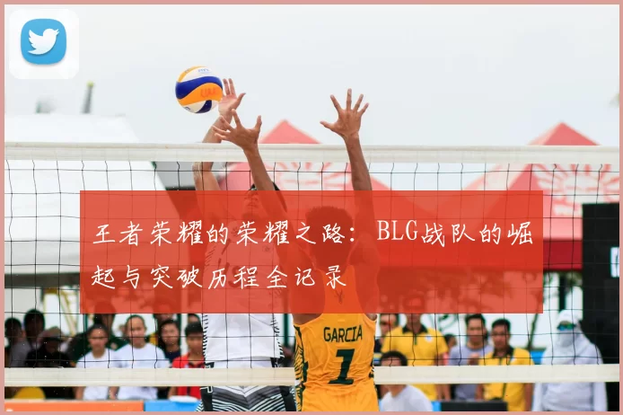 王者荣耀的荣耀之路：BLG战队的崛起与突破历程全记录