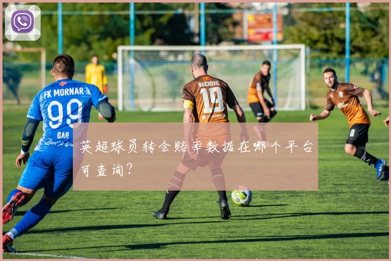 英超球员转会赔率数据在哪个平台可查询？