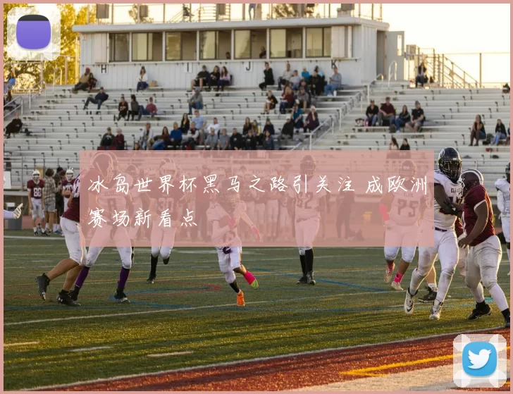 冰岛世界杯黑马之路引关注 成欧洲赛场新看点