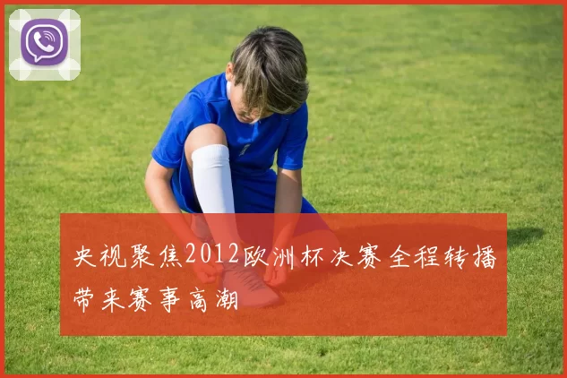 央视聚焦2012欧洲杯决赛全程转播带来赛事高潮