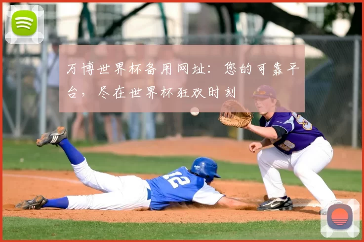 万博世界杯备用网址：您的可靠平台，尽在世界杯狂欢时刻