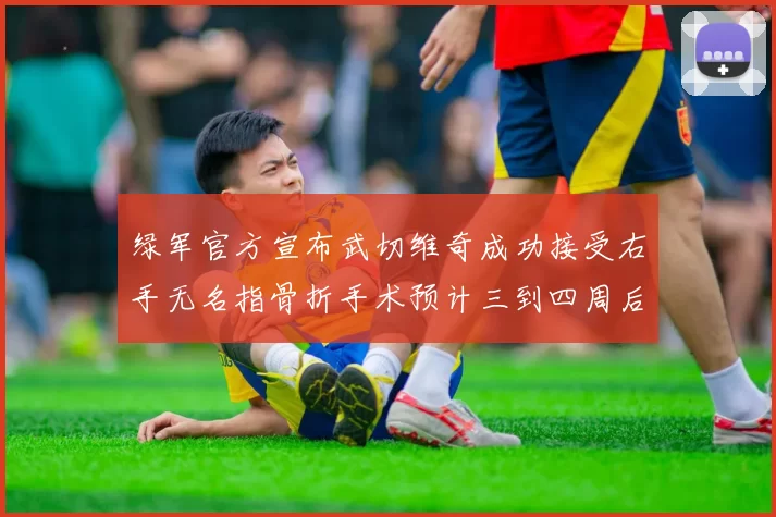 绿军官方宣布武切维奇成功接受右手无名指骨折手术预计三到四周后复查